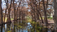 Frio Canyon Real Estate - Martin Martinez