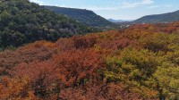Frio Canyon Real Estate - Martin Martinez