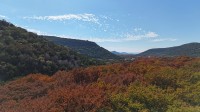 Frio Canyon Real Estate - Martin Martinez
