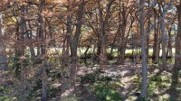 Frio Canyon Real Estate - Martin Martinez