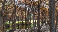 Frio Canyon Real Estate - Martin Martinez