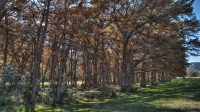 Frio Canyon Real Estate - Martin Martinez