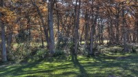 Frio Canyon Real Estate - Martin Martinez