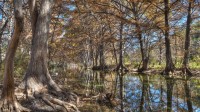 Frio Canyon Real Estate - Martin Martinez