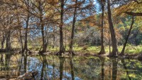 Frio Canyon Real Estate - Martin Martinez