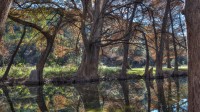 Frio Canyon Real Estate - Martin Martinez