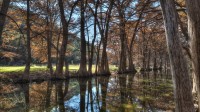 Frio Canyon Real Estate - Martin Martinez