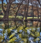Frio Canyon Real Estate - Martin Martinez