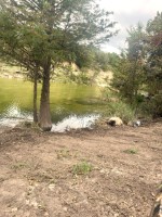 Frio Canyon Real Estate - Martin Martinez