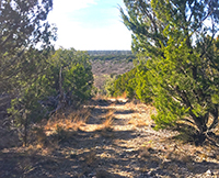 Texas Hill Country and Frio Canyon Properties with Live Water