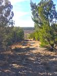 Frio Canyon Real Estate - Martin Martinez
