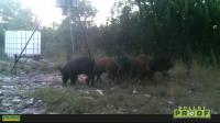 Frio Canyon Real Estate - Martin Martinez