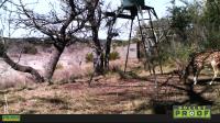 Frio Canyon Real Estate - Martin Martinez
