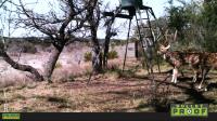 Frio Canyon Real Estate - Martin Martinez