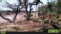 Frio Canyon Real Estate - Martin Martinez