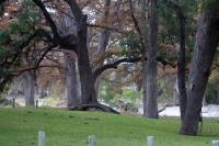 Frio Canyon Real Estate - Martin Martinez