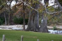 Frio Canyon Real Estate - Martin Martinez