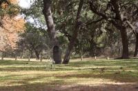 Frio Canyon Real Estate - Martin Martinez