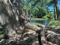 Frio Canyon Real Estate - Martin Martinez