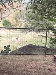 Frio Canyon Real Estate - Martin Martinez