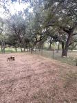 Frio Canyon Real Estate - Martin Martinez