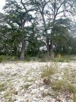 Frio Canyon Real Estate - Martin Martinez