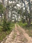 Frio Canyon Real Estate - Martin Martinez