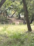 Frio Canyon Real Estate - Martin Martinez