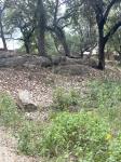 Frio Canyon Real Estate - Martin Martinez