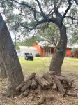 Frio Canyon Real Estate - Martin Martinez