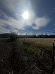 Frio Canyon Real Estate - Martin Martinez