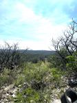 Frio Canyon Real Estate - Martin Martinez