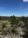 Frio Canyon Real Estate - Martin Martinez