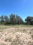 Frio Canyon Real Estate - Martin Martinez