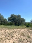 Frio Canyon Real Estate - Martin Martinez