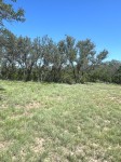Frio Canyon Real Estate - Martin Martinez
