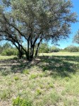 Frio Canyon Real Estate - Martin Martinez