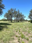 Frio Canyon Real Estate - Martin Martinez