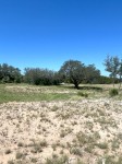 Frio Canyon Real Estate - Martin Martinez