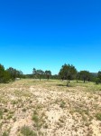 Frio Canyon Real Estate - Martin Martinez