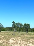 Frio Canyon Real Estate - Martin Martinez