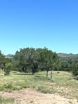 Frio Canyon Real Estate - Martin Martinez
