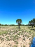Frio Canyon Real Estate - Martin Martinez