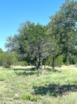 Frio Canyon Real Estate - Martin Martinez