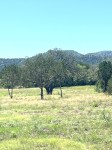Frio Canyon Real Estate - Martin Martinez