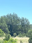 Frio Canyon Real Estate - Martin Martinez