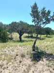 Frio Canyon Real Estate - Martin Martinez