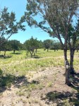 Frio Canyon Real Estate - Martin Martinez
