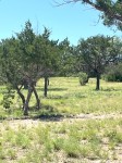 Frio Canyon Real Estate - Martin Martinez