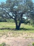 Frio Canyon Real Estate - Martin Martinez